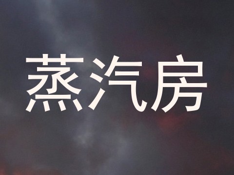 蒸汽房