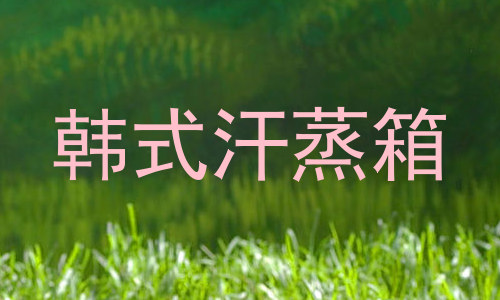 韩式汗蒸箱