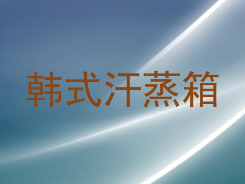 韩式汗蒸箱