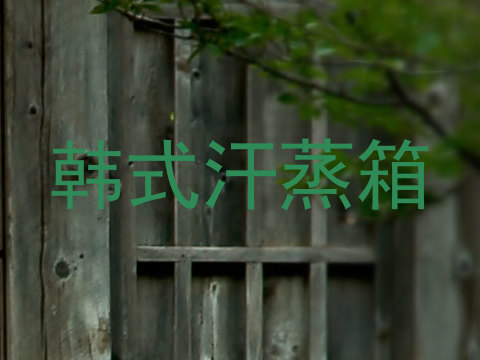韩式汗蒸箱