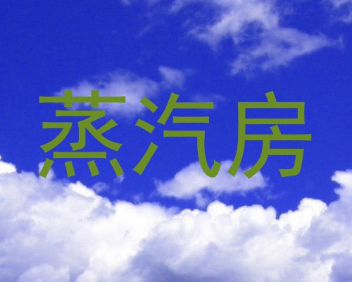蒸汽房