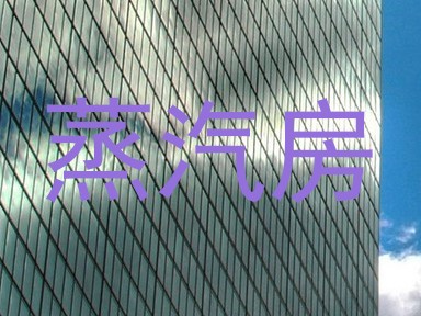 蒸汽房