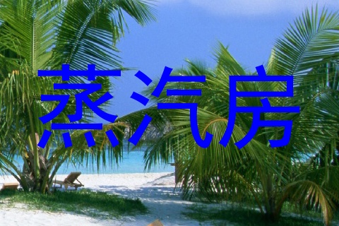 蒸汽房