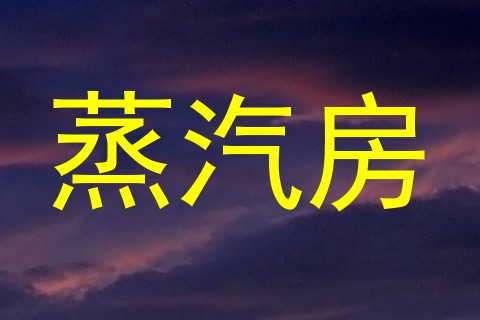蒸汽房