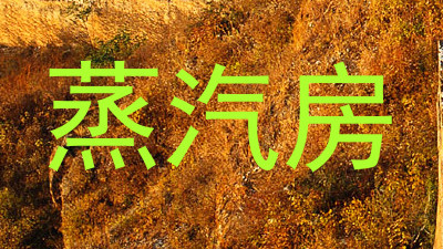 蒸汽房