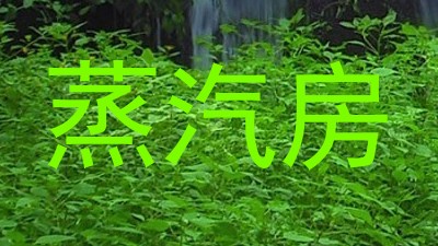 蒸汽房