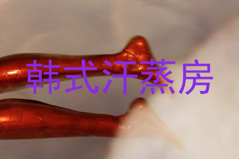 韩式汗蒸房
