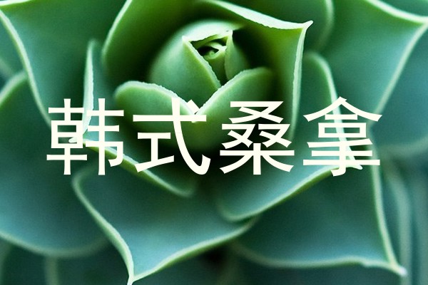 韩式桑拿