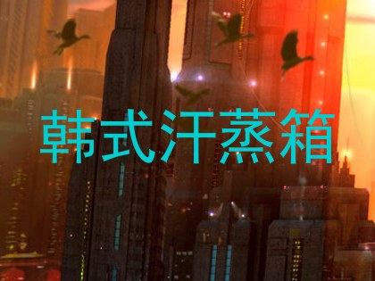 韩式汗蒸箱