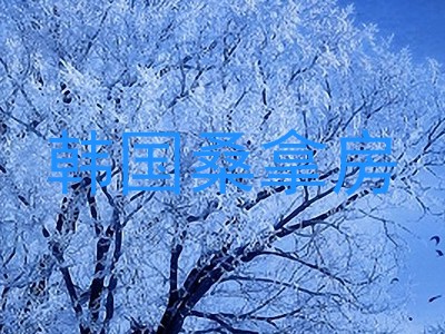 韩国桑拿房