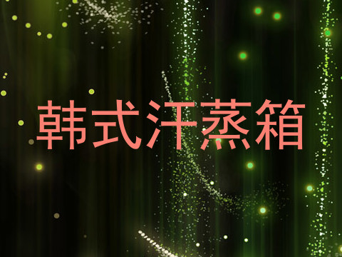 韩式汗蒸箱