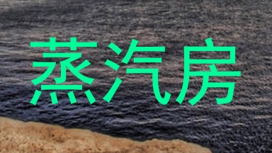 蒸汽房