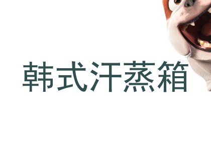 韩式汗蒸箱