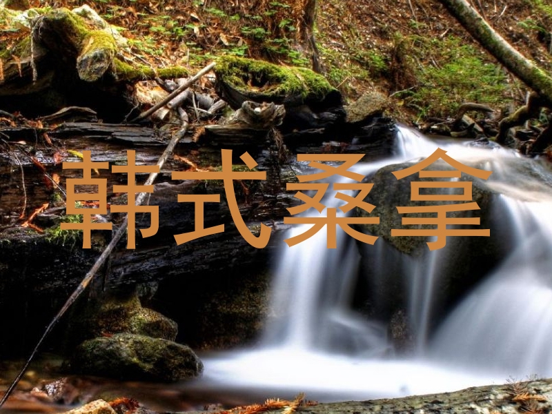 韩式桑拿