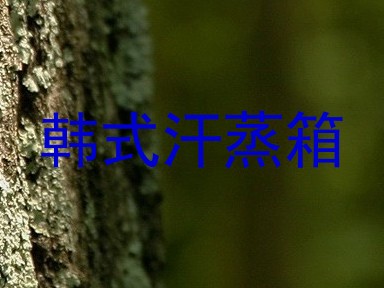 韩式汗蒸箱
