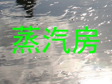 蒸汽房
