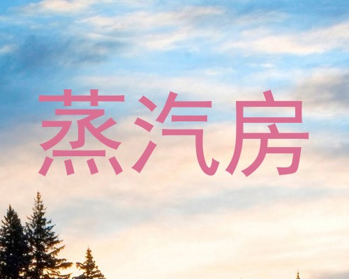 蒸汽房