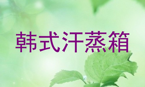 韩式汗蒸箱