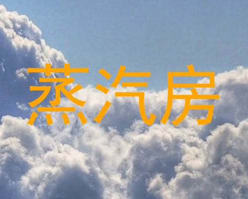 蒸汽房