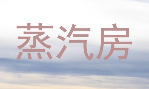 蒸汽房
