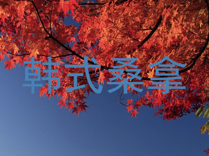 韩式桑拿