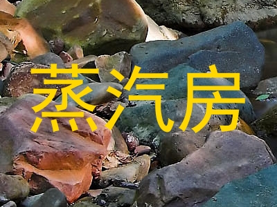 蒸汽房