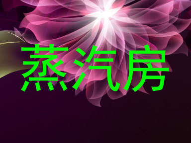 蒸汽房