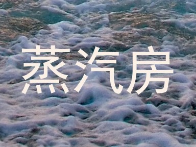 蒸汽房