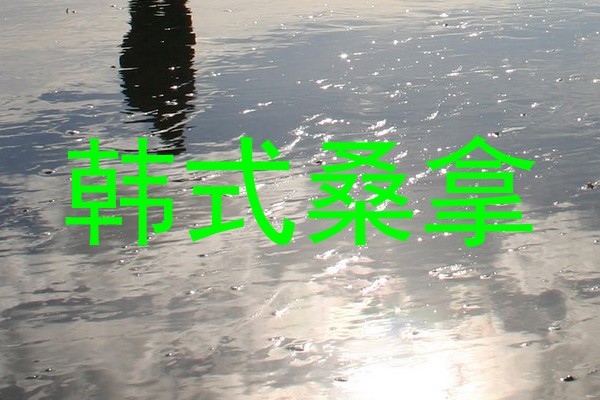 韩式桑拿