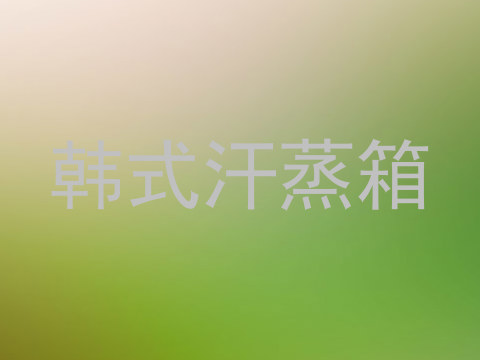 韩式汗蒸箱
