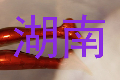 湖南