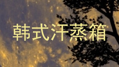 韩式汗蒸箱