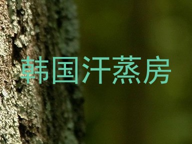 韩国汗蒸房