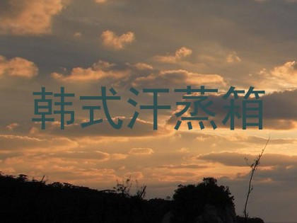 韩式汗蒸箱