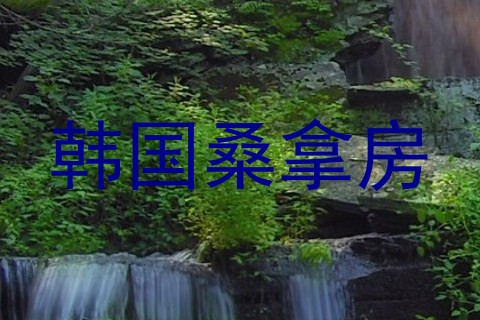 韩国桑拿房