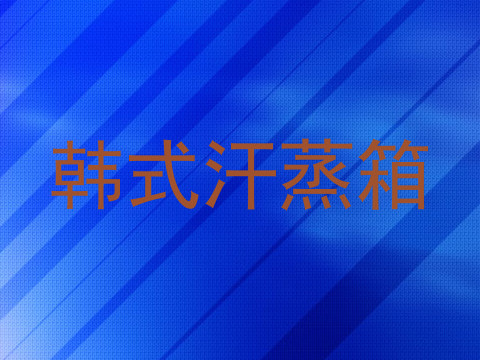 韩式汗蒸箱