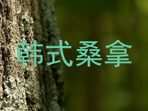 韩式桑拿