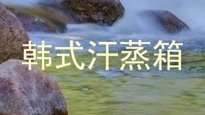 韩式汗蒸箱