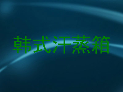 韩式汗蒸箱