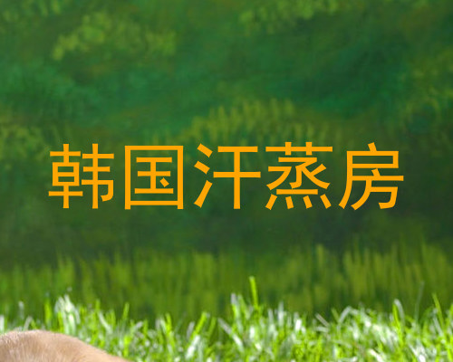 韩国汗蒸房
