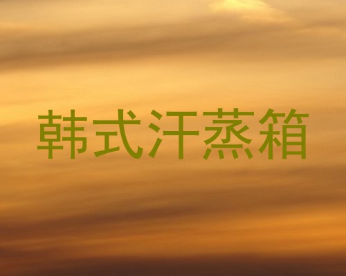 韩式汗蒸箱