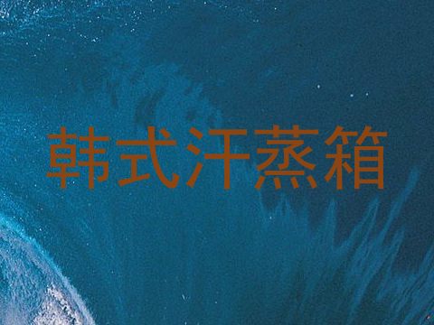 韩式汗蒸箱