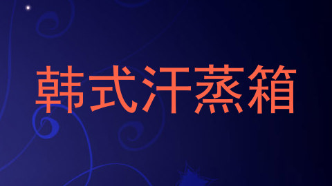 韩式汗蒸箱