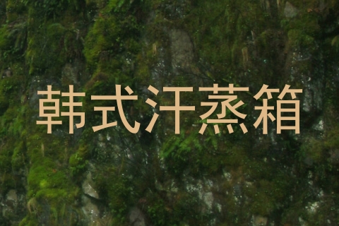 韩式汗蒸箱