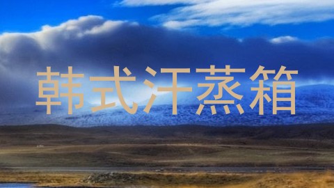 韩式汗蒸箱