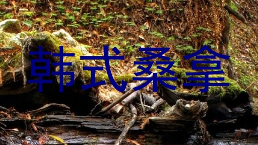 韩式桑拿