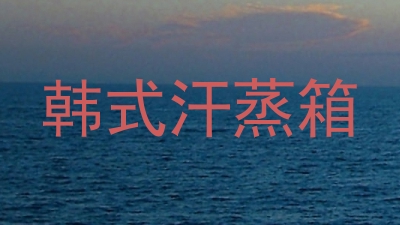 韩式汗蒸箱