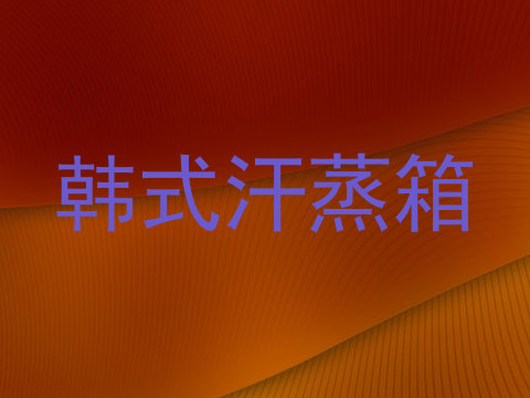 韩式汗蒸箱
