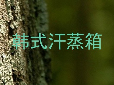 韩式汗蒸箱