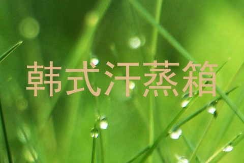 韩式汗蒸箱